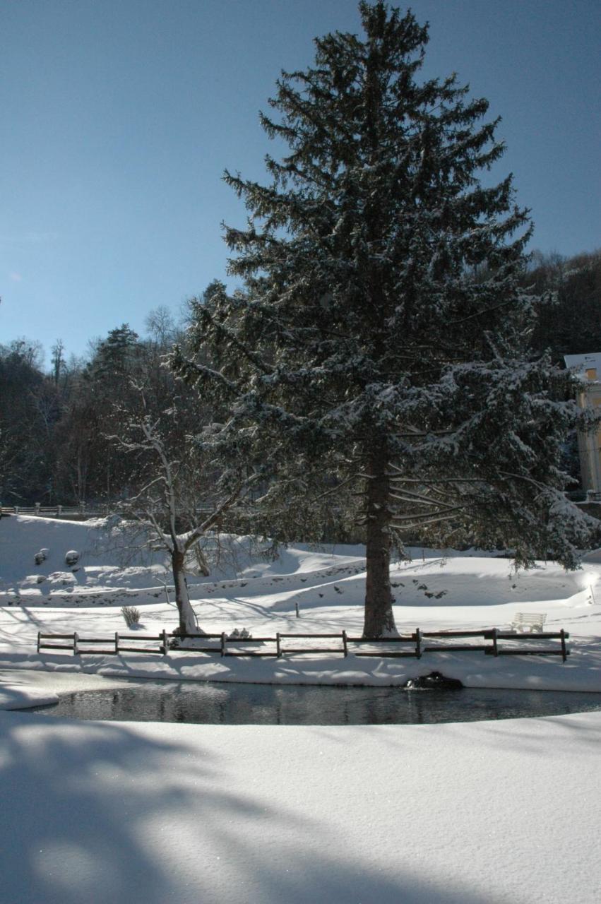 Appart Le Chili- Quartier Thermal- Parc Remarquable - Linge Fourni Luz-Saint-Sauveur Dış mekan fotoğraf